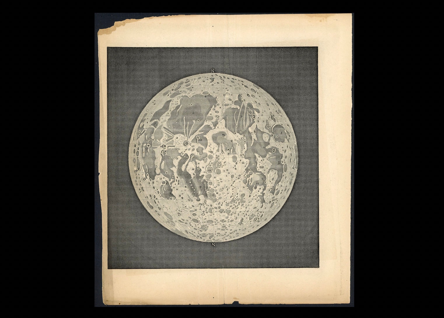 C. 1800's FULL MOON Engraving • Original Antique Print • Astronomy