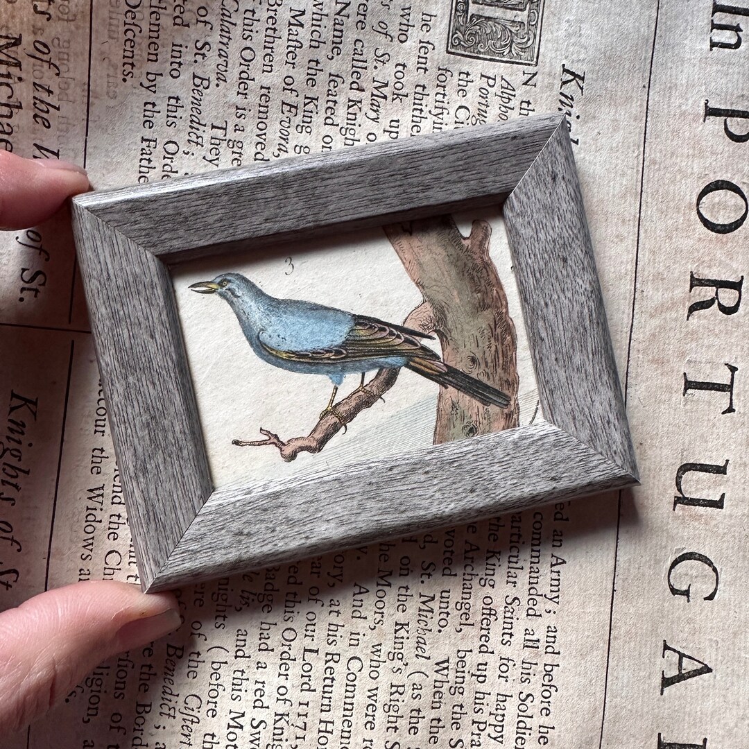 S/4 Bird Framed Print, 15.5x23.5'
