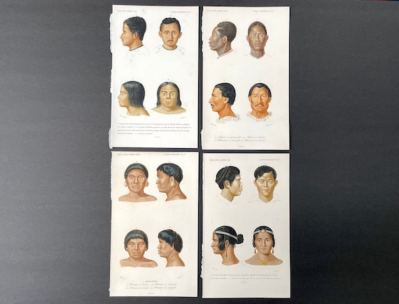 The Different Races Of The World