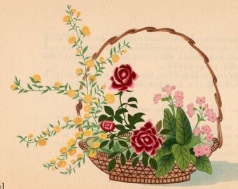 C. 1933 IKEBANA BOTANICAL Lithograph • Original Vintage Print