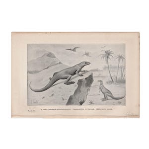 c. 1892 DINOSAUR • HYPSILOPHODON lithograph • original antique print • prehistoric animals • Cretaceous period • paleo art • extinct!