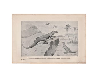 DINOSAUR • HYPSILOPHODON lithograph c. 1893 • original antique print • prehistoric animals • Cretaceous period • paleo art • extinct!