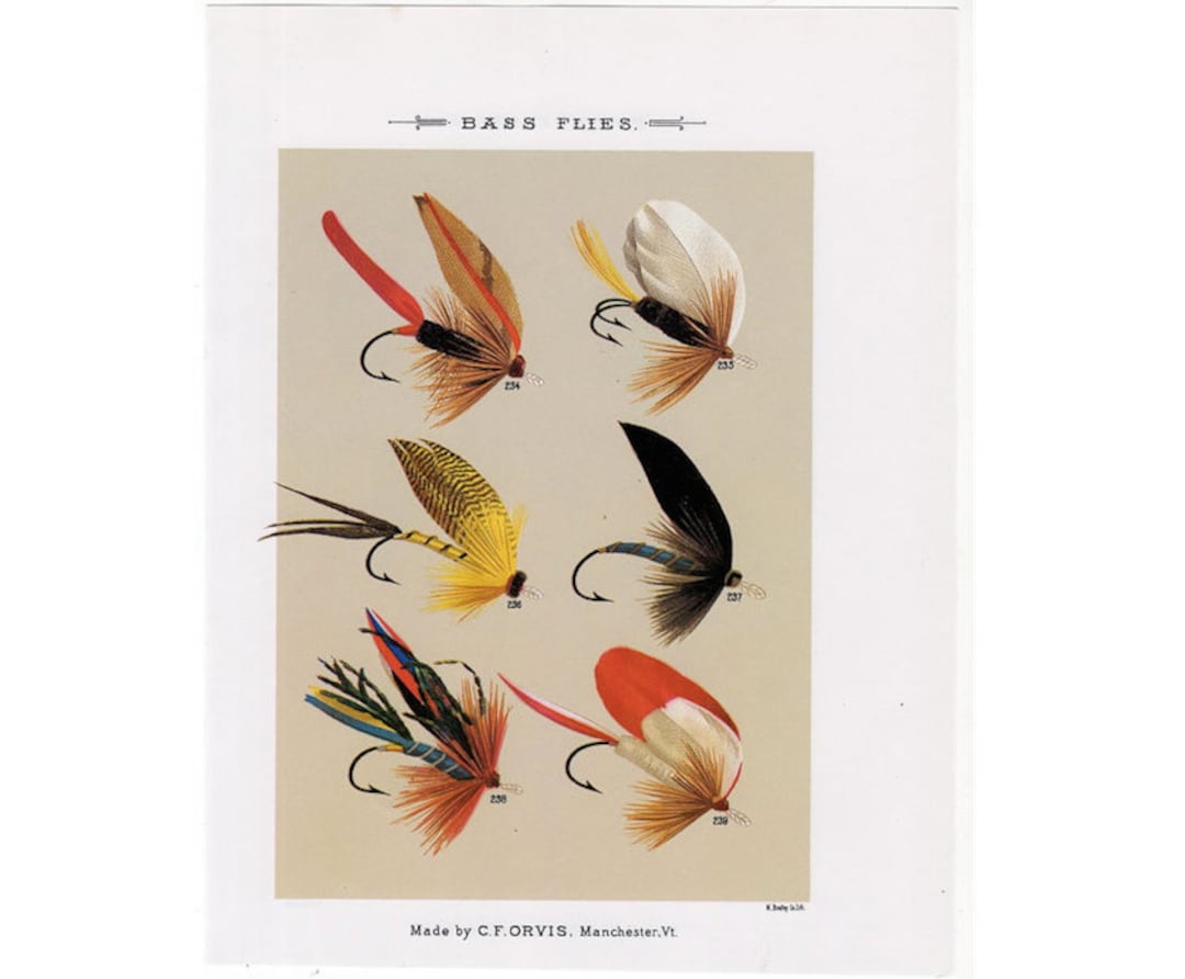 C. 1988 BASS FLIES Lithograph Original Vintage Print Fly Fishing