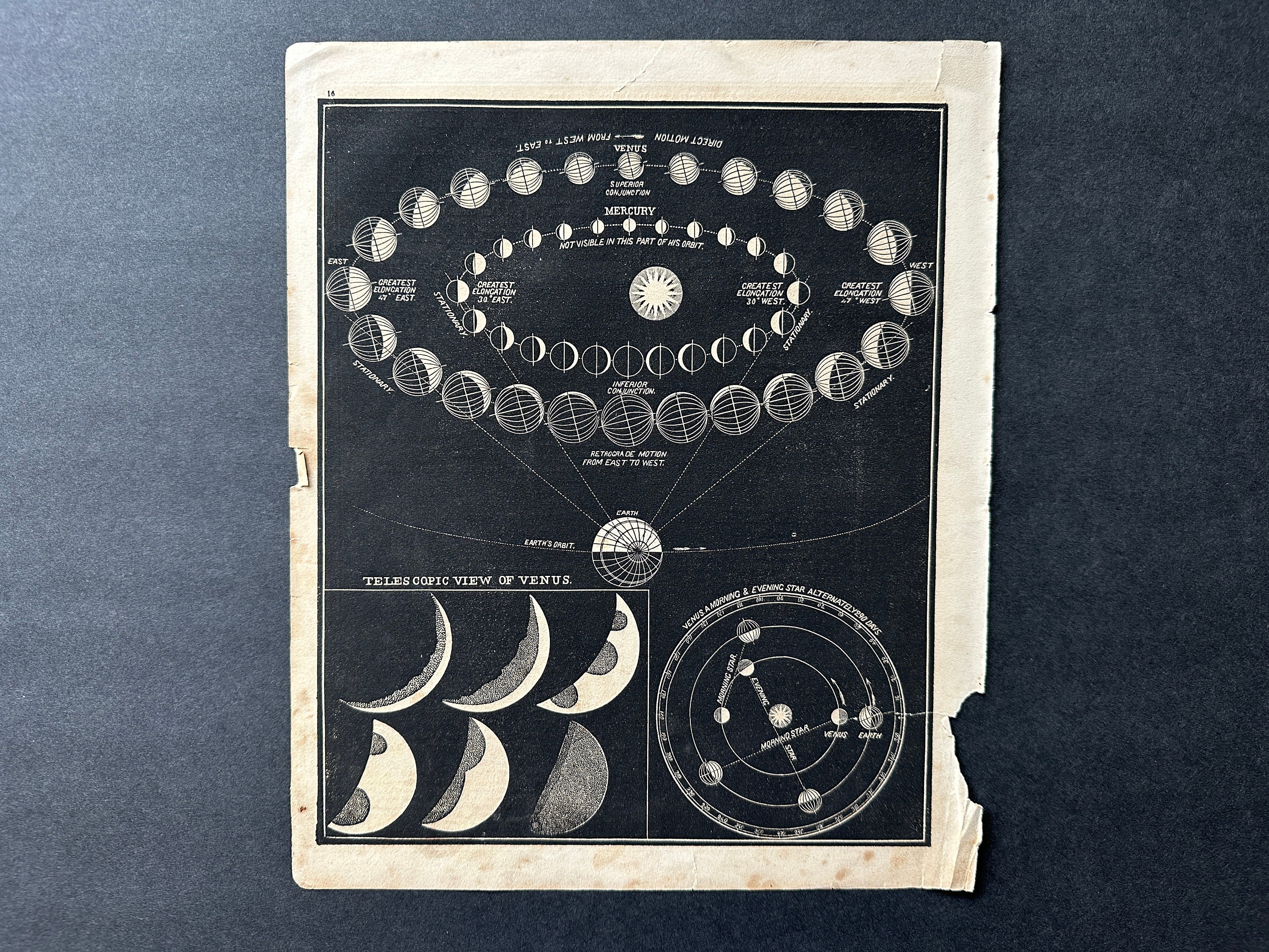 VENUS IN THE GALAXY NEO SILKSCREEN 天野タケル ED60 Takeru