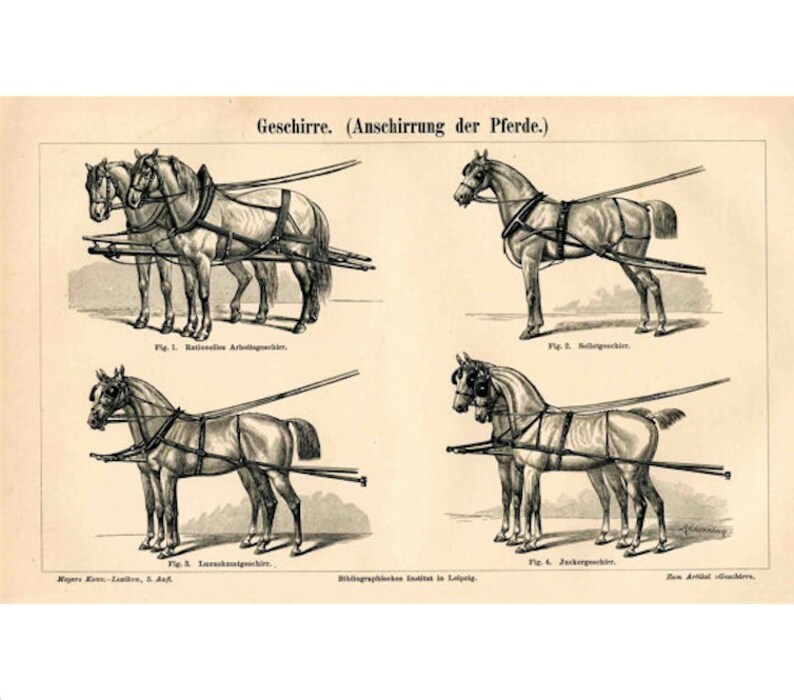 1894 ANTIQUE HORSE LITHOGRAPH harness horses original antique animal print image 1