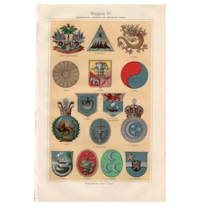 c. 1894 COAT OF ARMS print • original antique print • crest print • heraldic achievement - Americas African & Asian countries