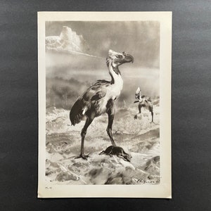 c. 1960 PREHISTORIC ANIMALS lithograph • original vintage print • extinct animals • dinosaur scene • Paleo Art • Phororhacos