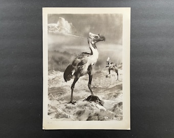 c. 1960 PREHISTORIC ANIMALS lithograph • original vintage print • extinct animals • dinosaur scene • Paleo Art • Phororhacos
