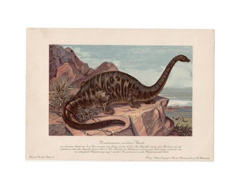 H. 1902 DINOSAURIER Lithographie - Brontosaurus - seltener Original Antiker Druck - Fossile Reptilien - Ausgestorbener Tierdruck - Prähistorisches Tier