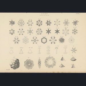May include: A black and white illustration of various snowflake crystals. The image is labeled "Snow Crystals" and "Plate 2".