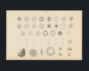 c. 1880 SNOW CRYSTALS engraving • original antique print • winter weather print • snow flakes print • snow print meteorology