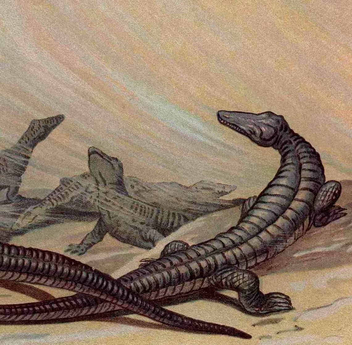 C. 1902 DINOSAUR Lithograph - Aetosaurus Ferratus - Original Antique ...