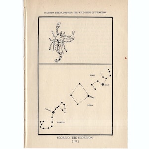 ca. 1944 Skorpion - CONSTELLATION FIGURE Druck - original Vintage Astronomie Druck - Sternkarte - himmlische Lithographie - der Skorpion