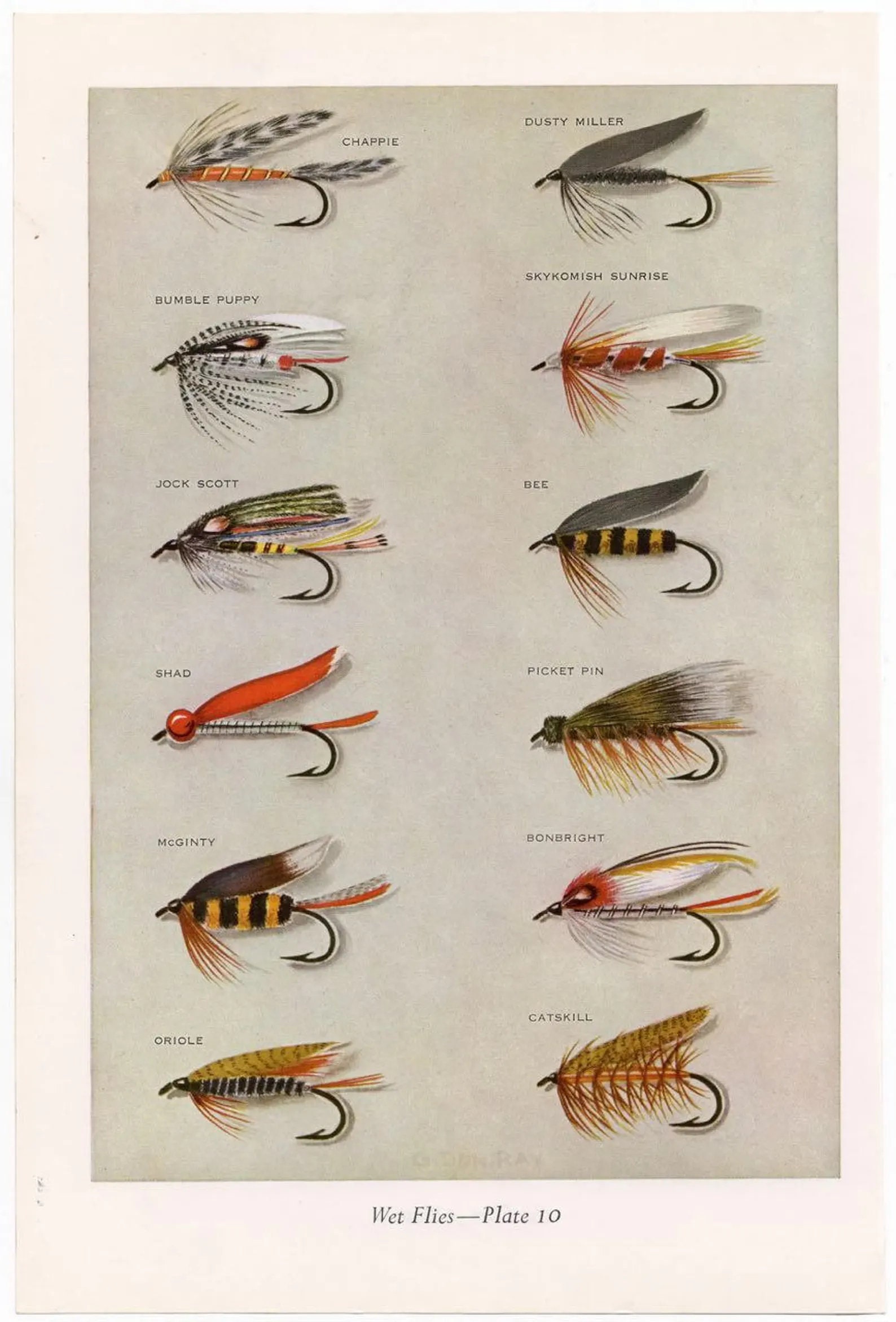 C. 1963 WET FLIES Lithograph Original Vintage Print Fresh Water Fishing  Angling Fly Fishing Trout Salmon Bass Bait Fly Tying 