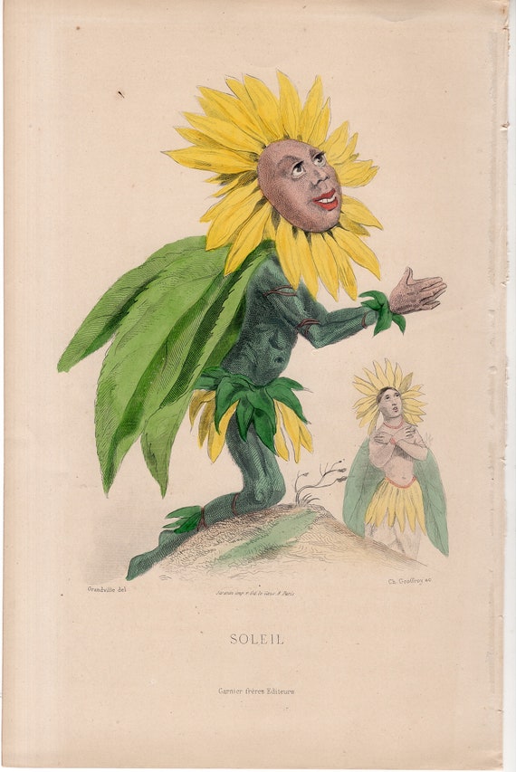 C. 1867 SUN FLOWER PERSONIFIED Engraving • Original Antique Print