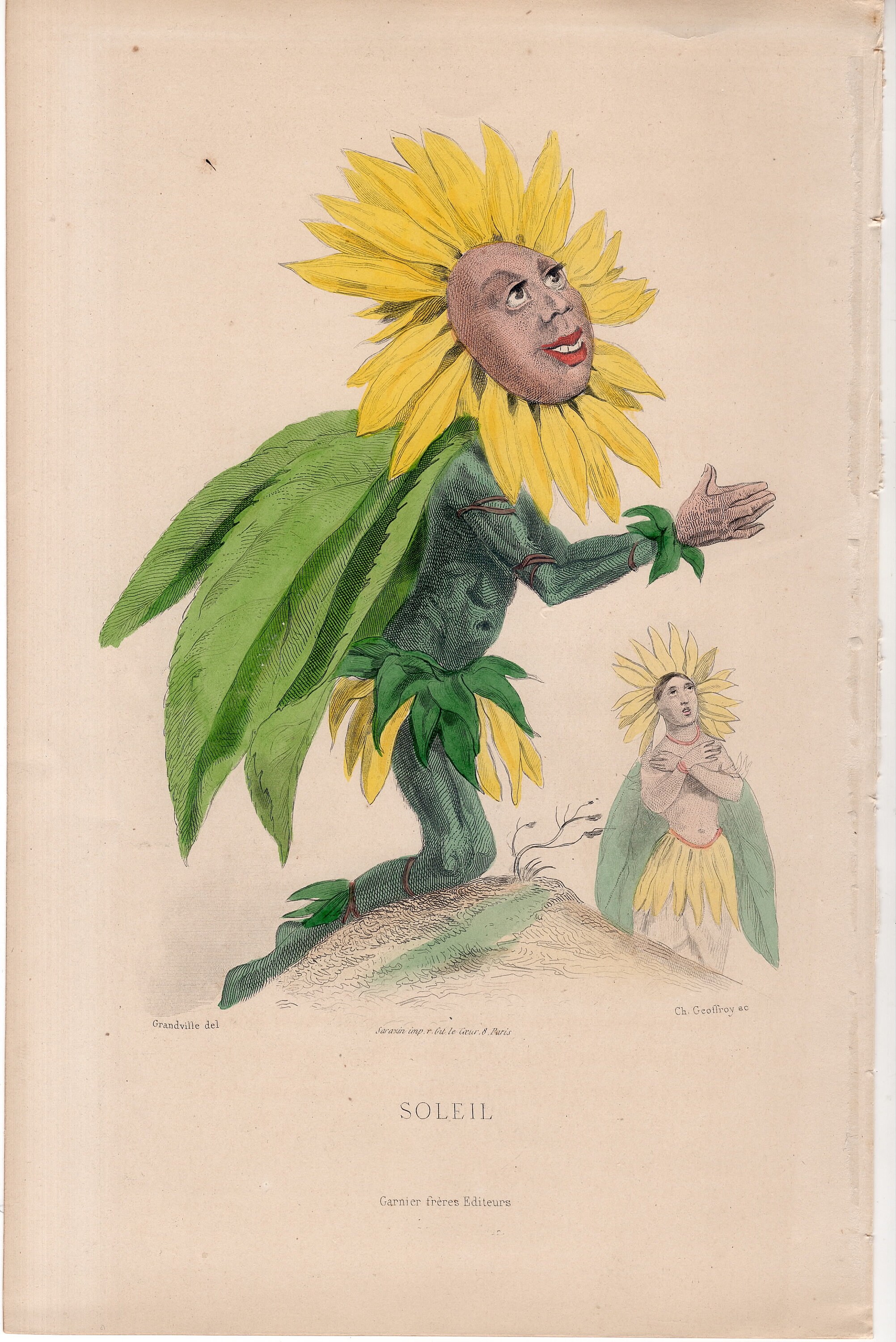 C. 1867 SUN FLOWER PERSONIFIED Engraving • Original Antique Print