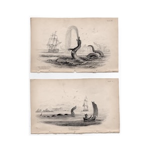 Gravuras de MONSTROS MARINHOS c. 1839 • conjunto de 2 gravuras antigas originais • serpentes marinhas • gravuras Jardine • criaturas marinhas • mitológicas • RARAS!