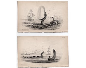 SEA MONSTER engravings c. 1839 • set of 2 original antique prints • sea serpents • Jardine prints • sea creatures • mythological • RARE!