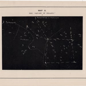 c. 1891 LITOGRAFIA PEGASUS CONSTELLATION - Litografia astronomica antica originale - Mappa stellare celeste - Mappa stellare - Stampa stelle