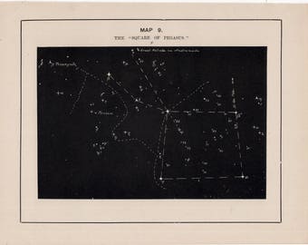 c. 1891 PEGASUS CONSTELLATION lithograph - original antique astronomy lithograph - celestial star map - star chart - stars print