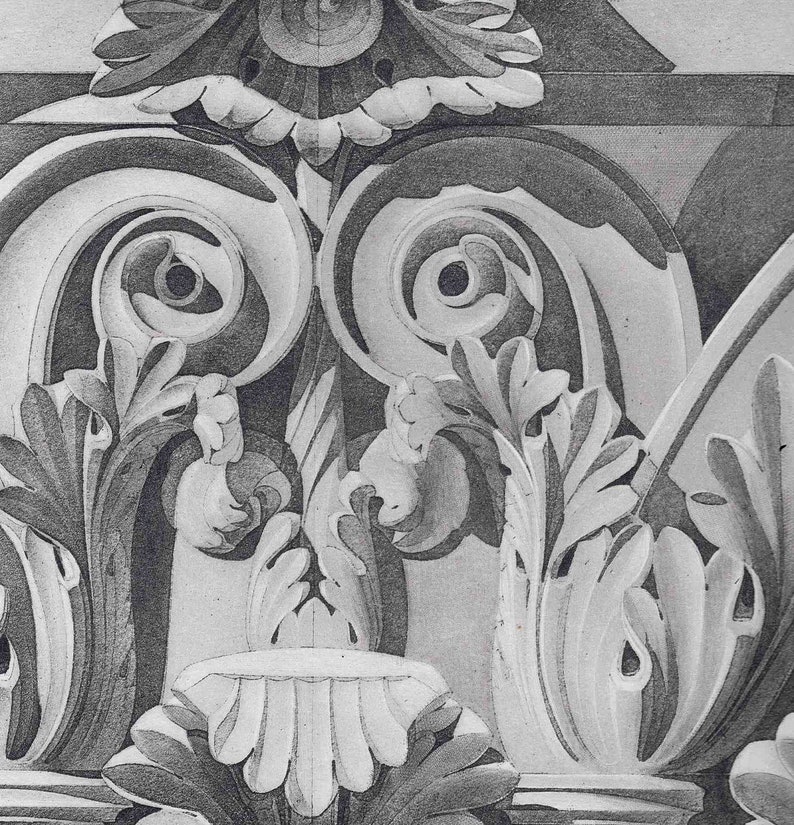 C. 1905 ANTIQUE ROMAN ARCHITECTURE print capital detail original antique print Rome ancient architecture details print rare image 3