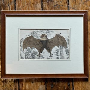 FRAMED FRUIT BAT print c. 1852 • original antique print • hand colored • bats print - Halloween decor - Chiroptera - chauve souris - Vampire