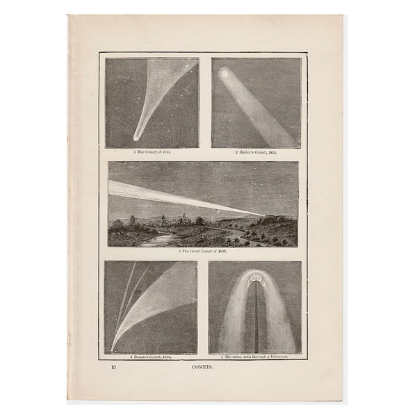 c.19thC FAMOUS COMETS lithograph • original antique print • celestial print • astronomy print • Halley's Comet • Donati's comet