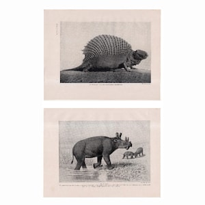 ANTIQUE DINOSAUR PRINTS c. 1900 - set of 2 original antique prehistoric animals prints - Naosaurus & Uintatherium - extinct animals