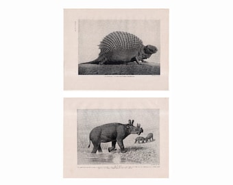 ANTIQUE DINOSAUR Prints ca. 1900 - Satz von 2 original antiken prähistorischen Tieren Drucke - Naosaurus & Uintatherium - ausgestorbene Tiere