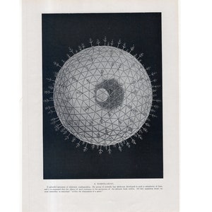 c. 1920 RADIOLARIAN lithograph • original antique print • Radiozoa • protozoa print • mineral skeletons • zooplankton print • RADIOLARIA