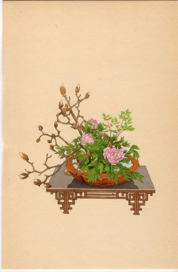 1935 Ikebana Japanese Flower Arrangement Print Original Etsy etsy