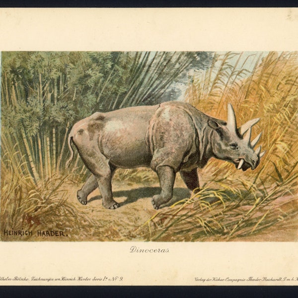 c. 1902 UINTATHERIUM • original antique print • dinosaur print • fossil reptiles - extinct animal - prehistoric animal • by Harder