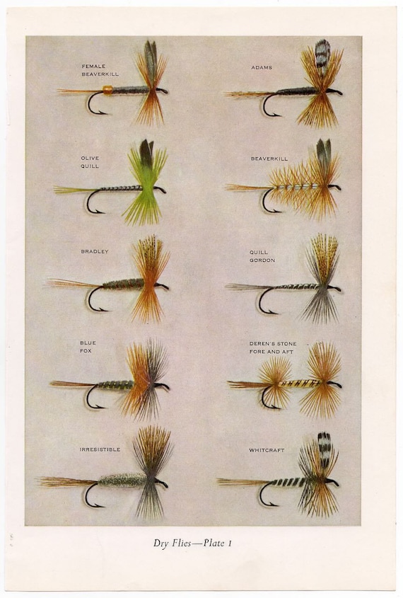 C. 1963 DRY FLIES Fly Fishing Lithographs Original Vintage Prints Fresh  Water Angling Trout Salmon Bass Fly Tying Set of 2 -  Sweden
