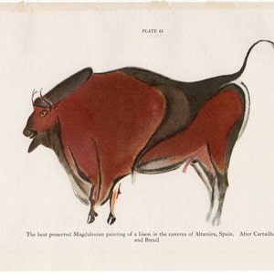 1934 ALTAMIRA BISON PAINTING lithograph•  original vintage print - prehistoric culture