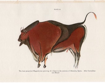 Litografía de la pintura del bisonte de Altamira de 1934 • impresión vintage original - cultura prehistórica