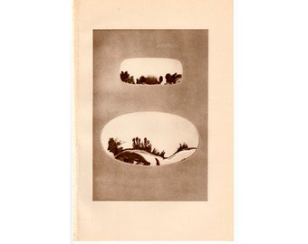 c. Lithographie AGATES LANDSCAPE 1934 - impression vintage originale - alias agates mousse du montana - impression géologie - impression minéraux - impression pierres précieuses