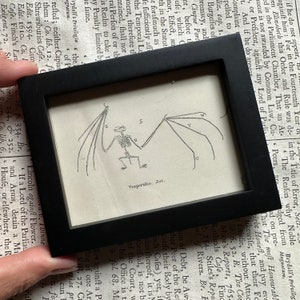 small! c. 1880 FRAMED BAT SKELETON engraving • original antique print • Halloween decor • bat print • easel backed & ready to display!