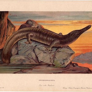 c. 1902 ARCHEGOSAURUS lithograph • original antique print - fossil reptiles - extinct animal print - prehistoric animal • dinosaur print