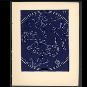 ¡diminuto! c. 1900 ESTRELLAS POLARES DEL NORTE litografía • grabado antiguo original • astronomía • mapa estelar • celeste • estrellas en el hemisferio norte