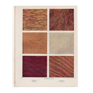 May include: A page from a book showing six different types of polished wood. The wood types are:  American Ash, Mahogany, White Walnut, Bird's Eye Maple, and Oak.