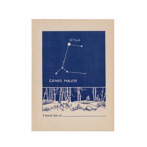c. 1947 Impresión de la CONSTELACIÓN CANIS MAJOR • Impresión vintage original • Decoración de pared astronómica • Azul celeste • Sistema solar • Impresión de estrellas • Perro