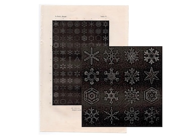 CRISTALES DE NIEVE impresión c. 1885 • impresión antigua original • impresión del clima • impresión de copos de nieve de invierno • impresión del clima invernal • impresión de nieve