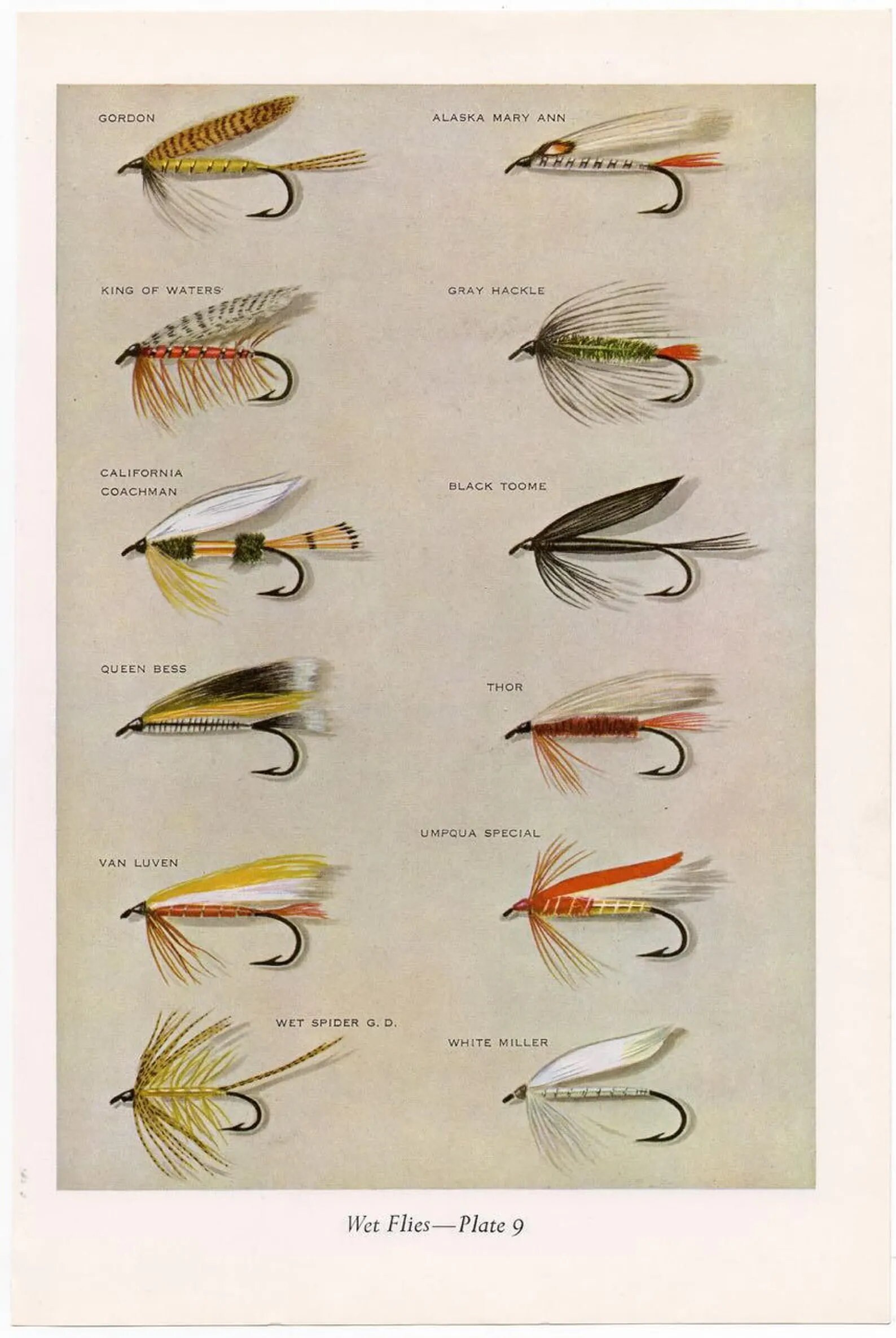 C. 1963 WET FLIES Fly Fishing Lithograph Original Vintage Print Fresh Water  Fishing Angling Trout Salmon Bass Bait Fly Tying -  Norway