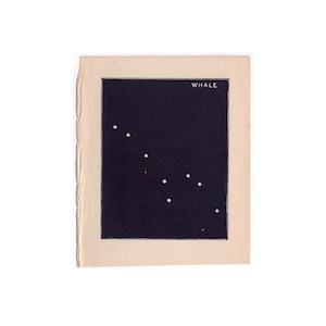 ¡diminuto! C. 1900 Litografía CETUS LA BALLENA • impresión antigua ooriginal • impresión de astronomía • mapa estelar • impresión celeste azul • impresión de constelaciones