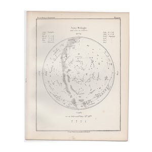 H. 1892 JUNI-STERNE Druck • alter Originaldruck • Sternenkarte • Astronomie • Geburtstag • Monatskarte