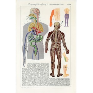 c. 1920&#39;s PAIN CONTROL print • original antique print - medical anatomy - pain management • through chemistry • algiatry print