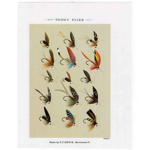 c. 1988 TROUT FLIES lithograph • original vintage print • fly fishing print • Orvis print • fly tying print • with bass flies on reverse