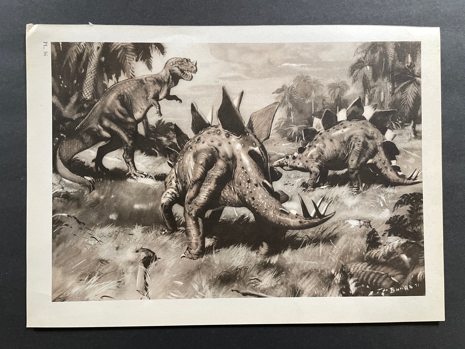 C. 1960 PREHISTORIC ANIMALS Lithograph • Original Vintage Print ...