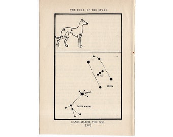 ok. 1944 canis major - ODBITKA KONSTELACJI - oryginalna, zabytkowa odbitka astronomiczna - mapa gwiazd - litografia niebieska - pies