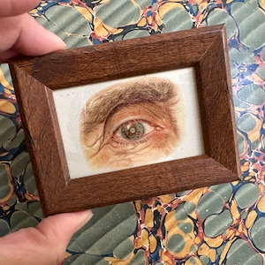 tiny! FRAMED EYE ANATOMY lithograph c. 1901 • original antique print • human anatomy print • eyes • Ophthalmology • gift for eye doctor